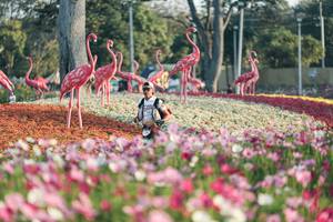 BIB: 
                            <button type="button" onclick="openModal(27344125)" class="btn btn-primary btn-sm float-right btn-popup" data-toggle="modal" data-target=".modal-high-quality">
                        <i class="fas fa-shopping-cart"></i> Add to Cart
                    </button>
                                            <button type="button" onclick="isThisMe(27344125, true)" class="btn btn-success btn-sm float-right btn-popup btn-isme hidden" data-toggle="tooltip" data-placement="bottom" title="นี่คือรูปของคุณใช่ไหม คลิกที่นี่เพื่อเอาเข้าอัลบั้ม">
                        <i class="fas fa-plus"></i> Add to album
                    </button>
                    <button type="button" onclick="isThisMe(27344125, false)" class="btn btn-warning btn-sm float-right btn-popup btn-isnotme hidden">
                        <i class="fas fa-ban"></i> Remove from album
                    </button>